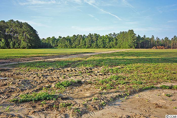 Lot 3Cates Bay Hwy, Conway, SC 29527