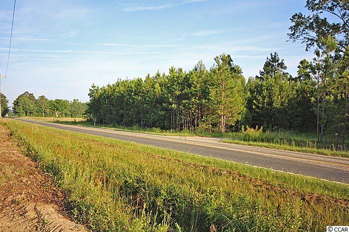 Lot 4Cates Bay Hwy, Conway, SC 29527