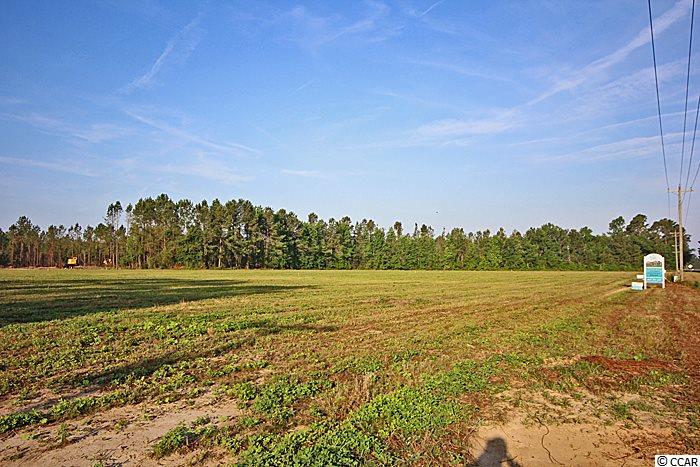 Lot 10Cates Bay Hwy, Conway, SC 29527