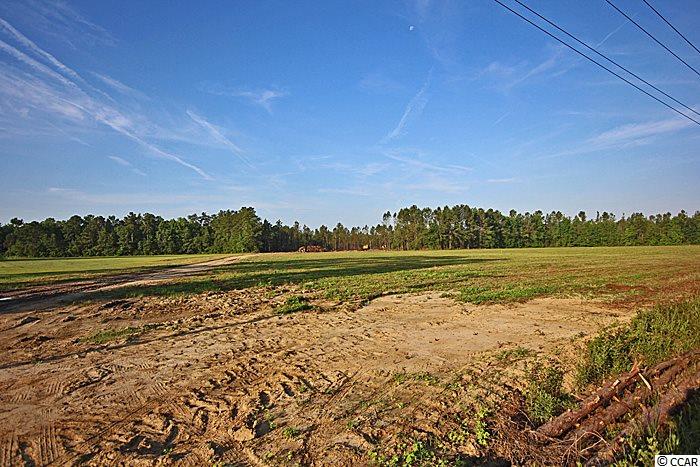 Lot 10Cates Bay Hwy, Conway, SC 29527