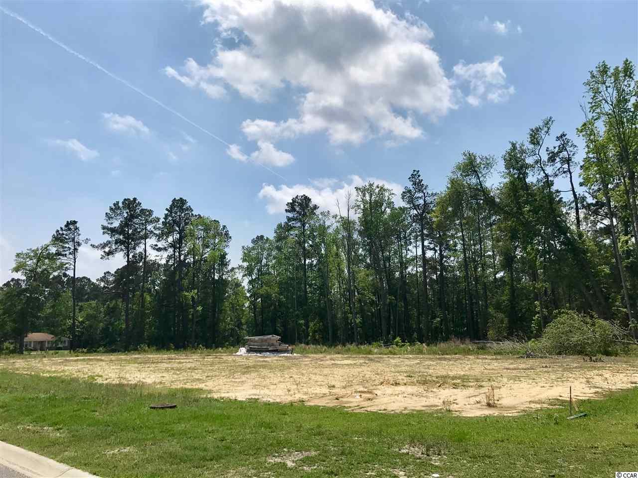 TBD2.67 Ac Brown Swamp Rd, Conway, SC 29527