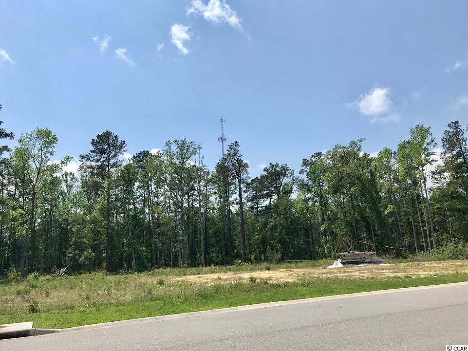 TBD2.67 Ac Brown Swamp Rd, Conway, SC 29527