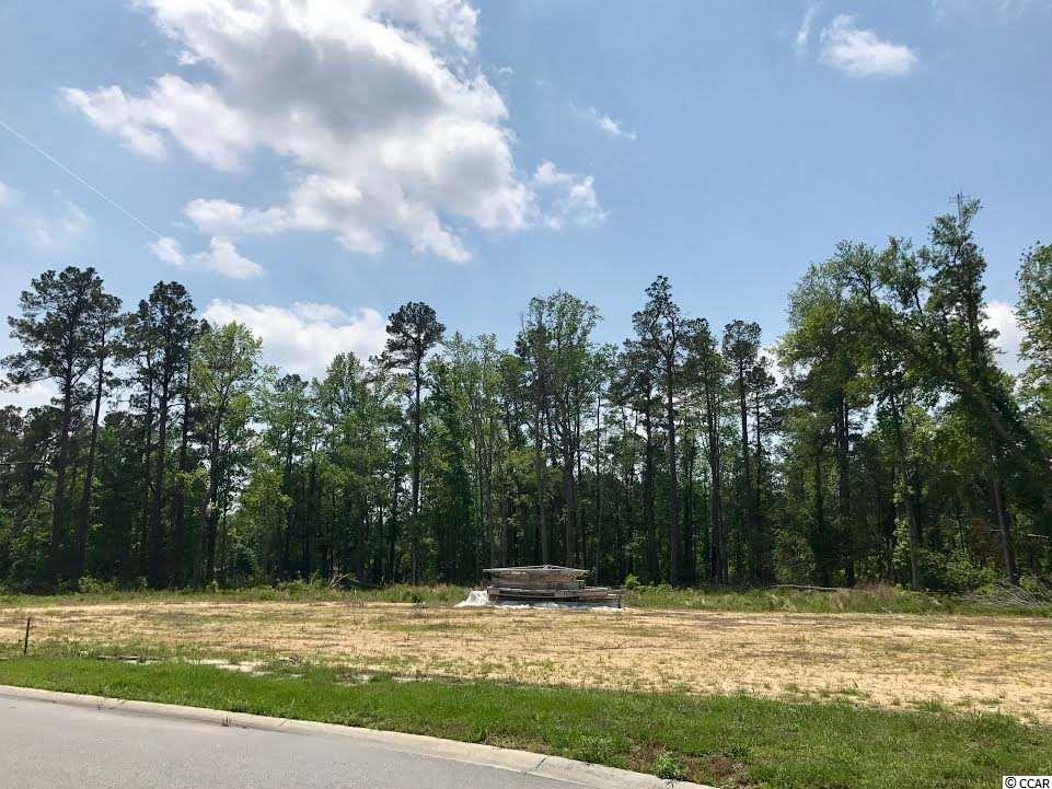 TBD2.67 Ac Brown Swamp Rd, Conway, SC 29527