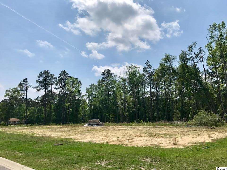 TBD2.67 Ac Brown Swamp Rd, Conway, SC 29527