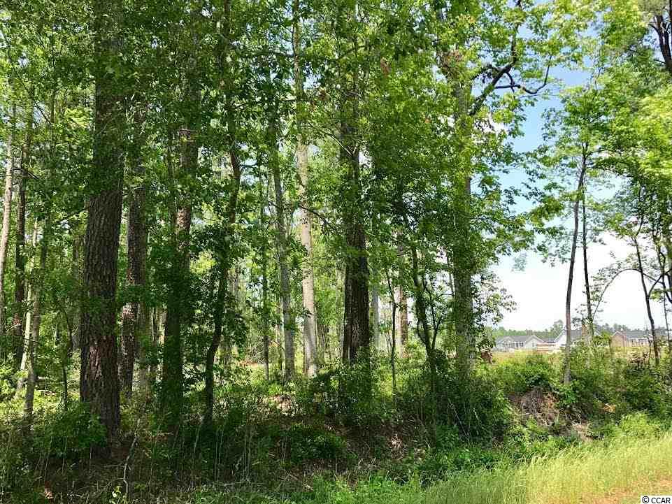 TBD2.67 Ac Brown Swamp Rd, Conway, SC 29527