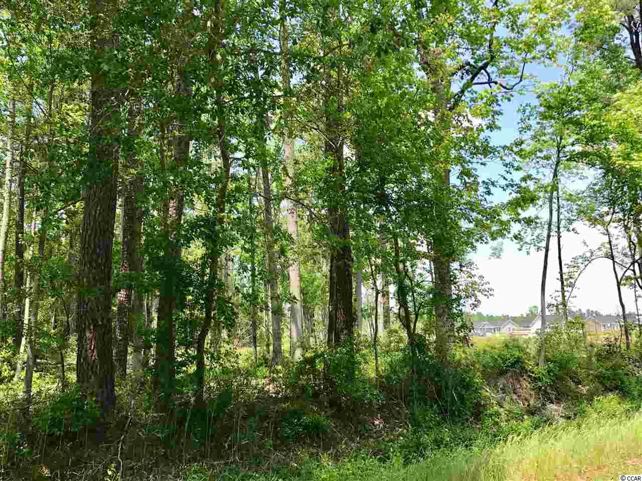 TBD2.67 Ac Brown Swamp Rd, Conway, SC 29527