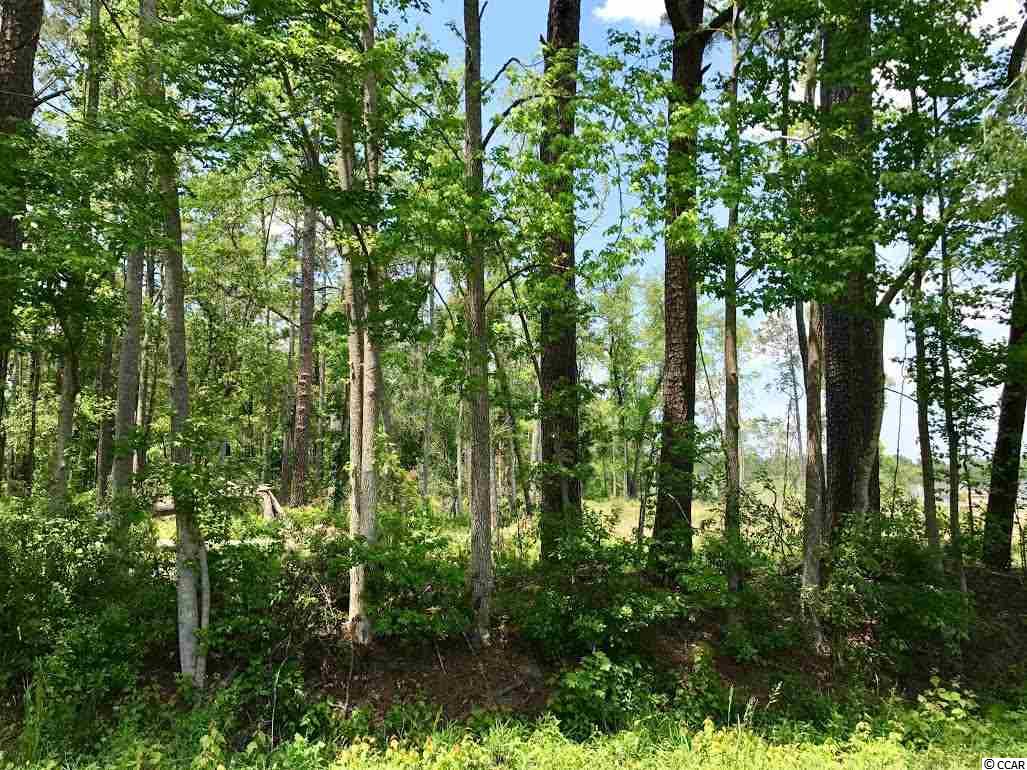 TBD2.67 Ac Brown Swamp Rd, Conway, SC 29527