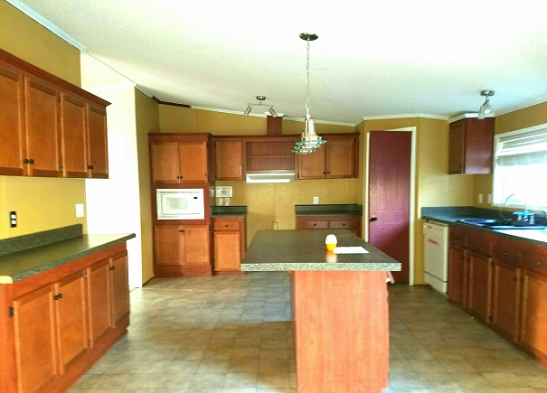 2447 Easy StreetEffingham, SC, 29541Florence County