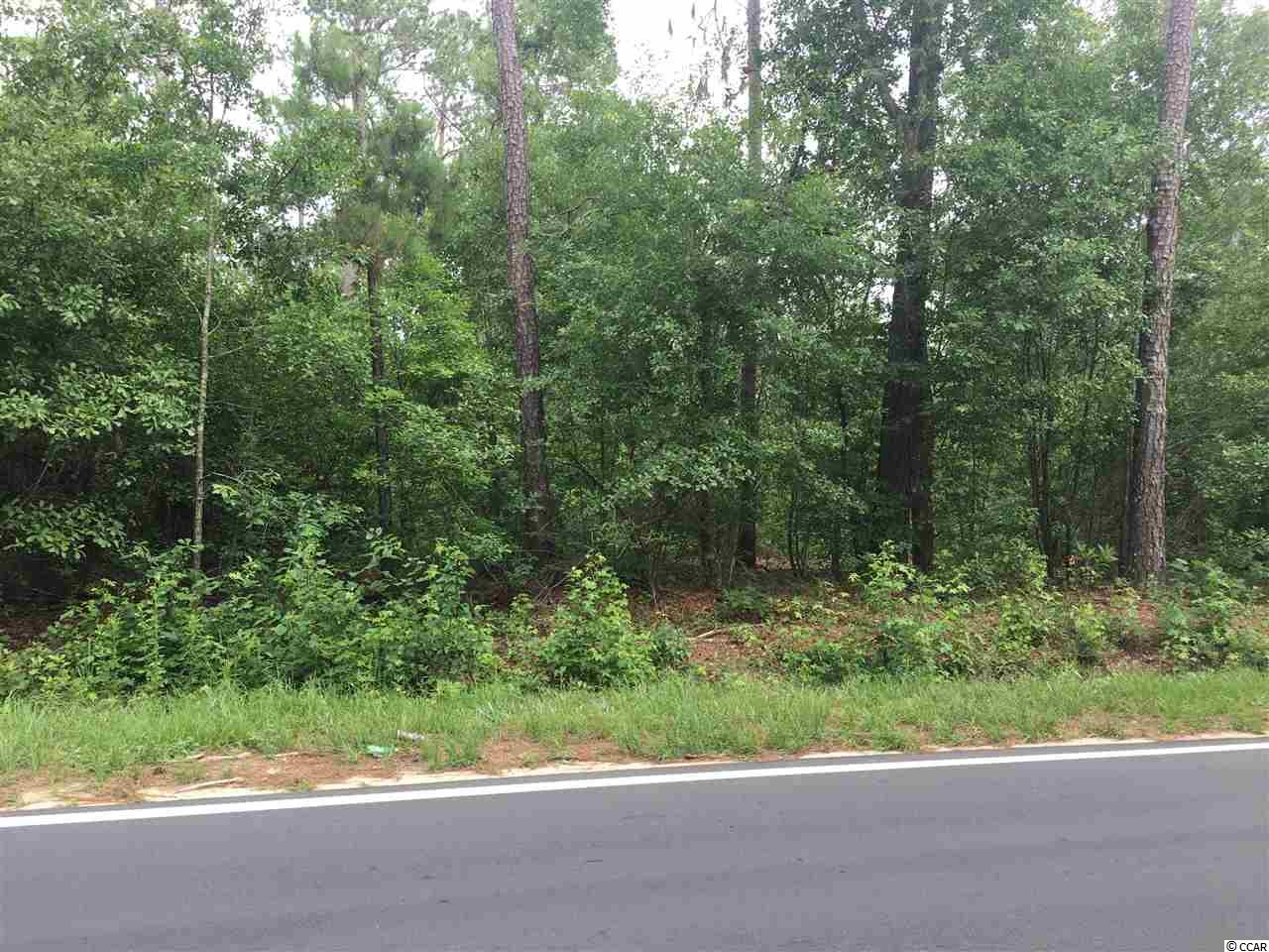 Lot 3Vaught Rd, Galivants Ferry, SC 29544