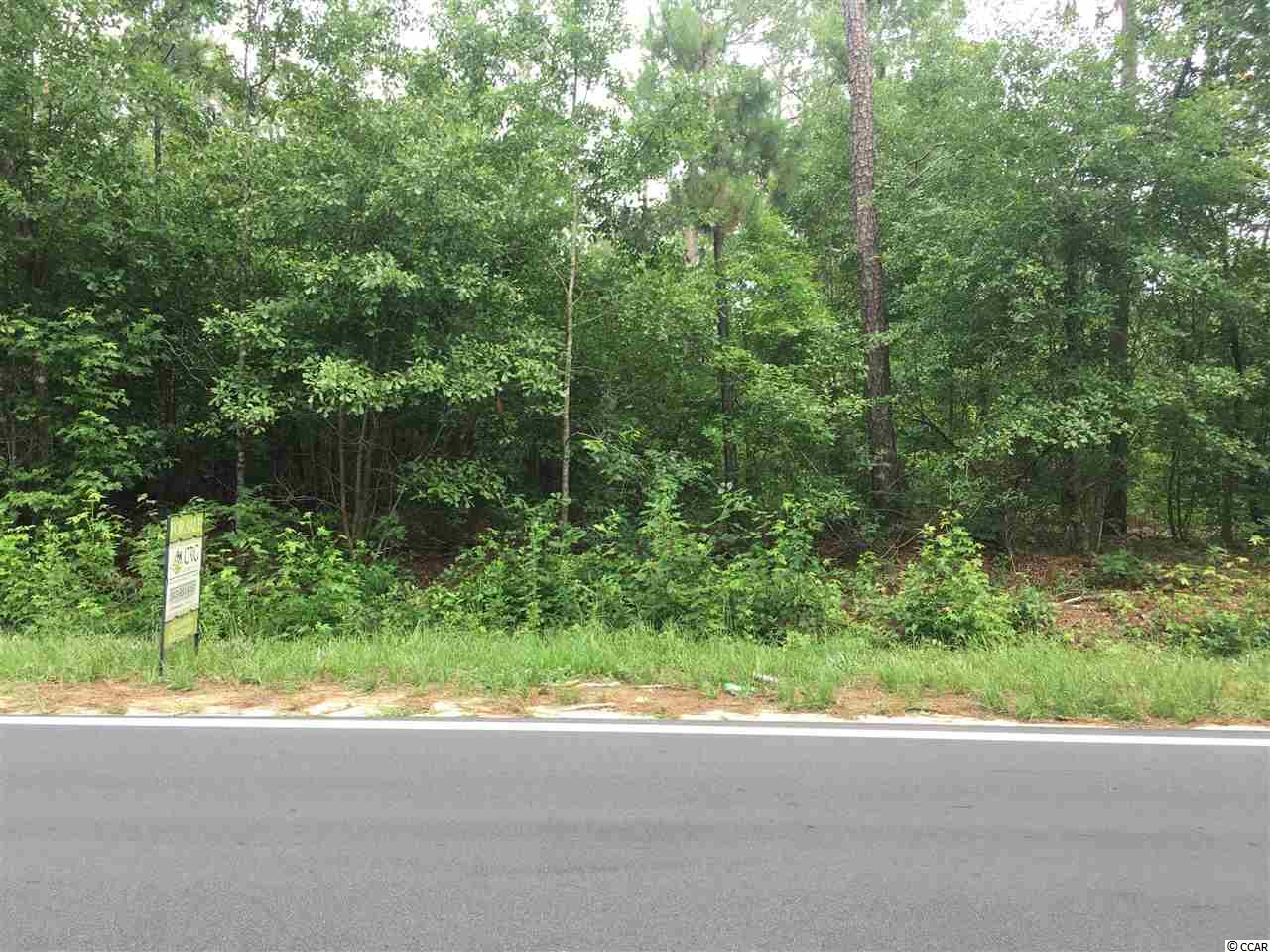 Lot 3Vaught Rd, Galivants Ferry, SC 29544
