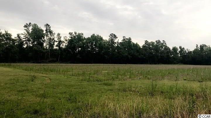 Lot 1St. Johns Rd, Aynor, SC 29544