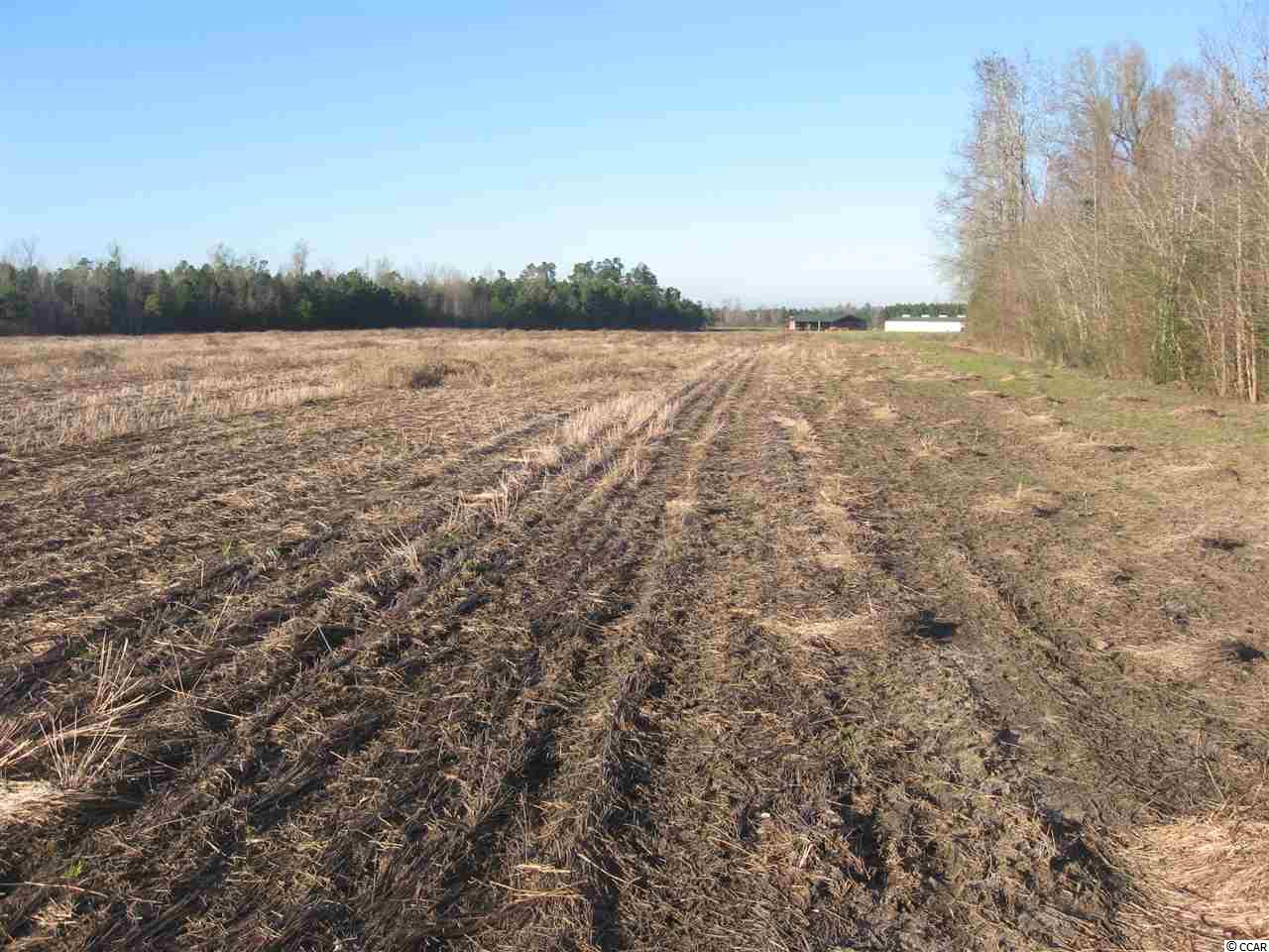 TBDLovett Lane, Green Sea, SC 29545