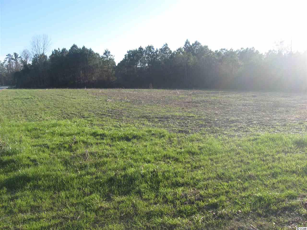 TBDLovett Lane, Green Sea, SC 29545