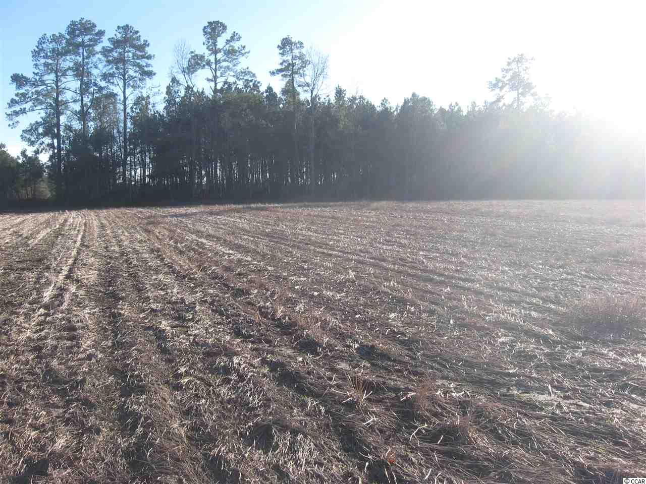 TBDLovett Lane, Green Sea, SC 29545