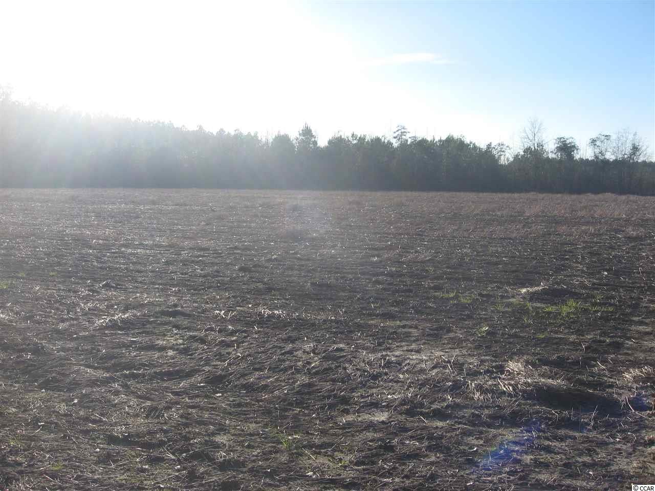 TBDLovett Lane, Green Sea, SC 29545