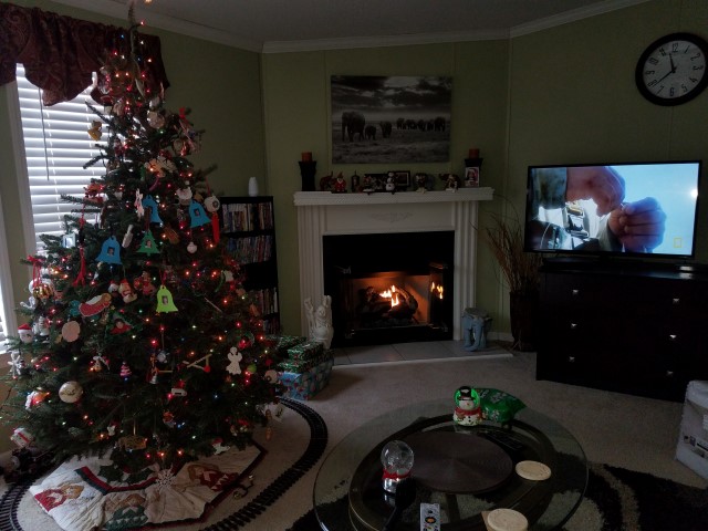 157 Bellview Court, Green Sea, SC 29545