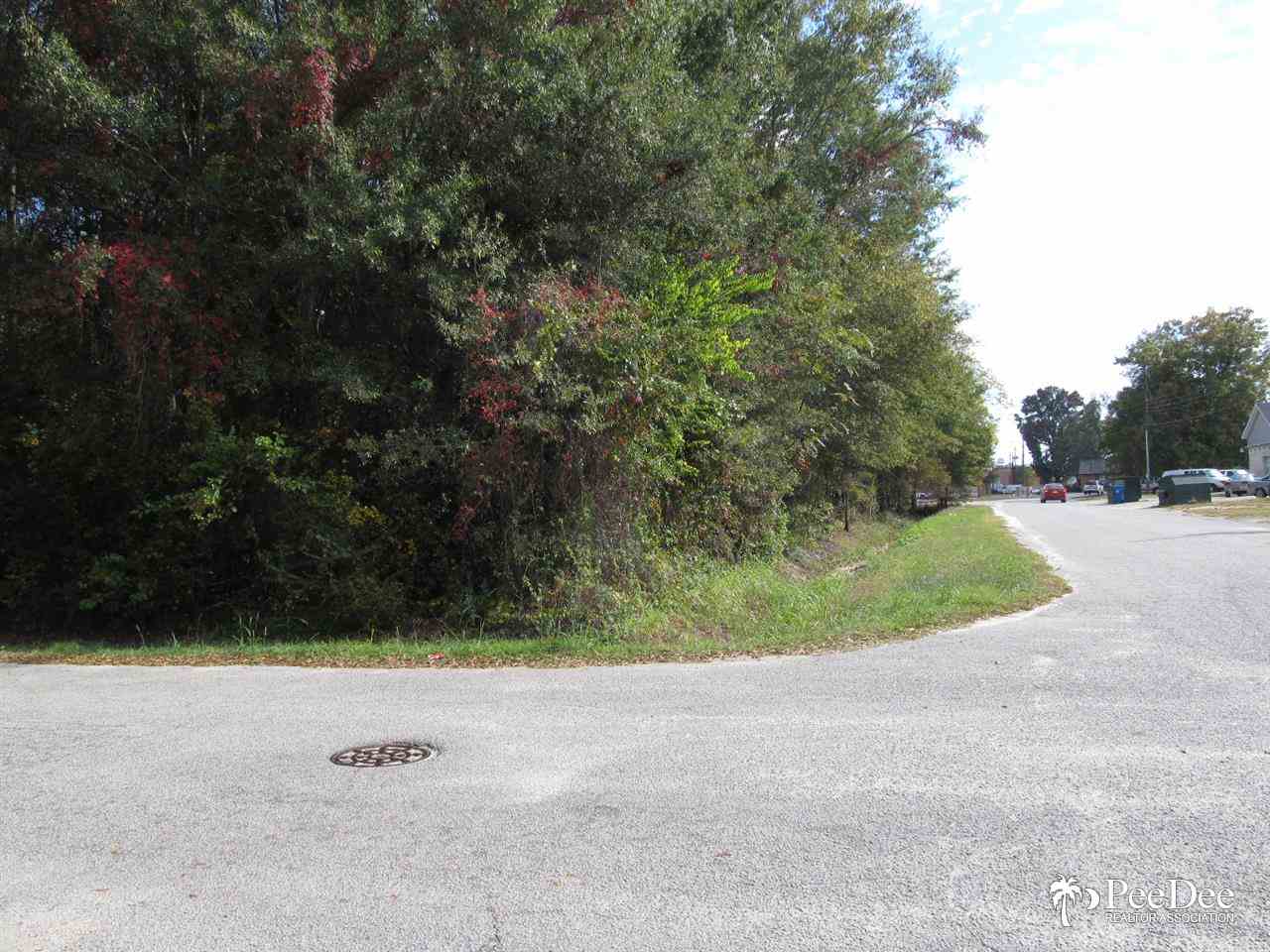 fronts Fourth street, Hartsville, SC 29550