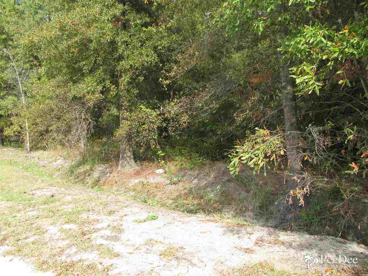 fronts Fourth street, Hartsville, SC 29550