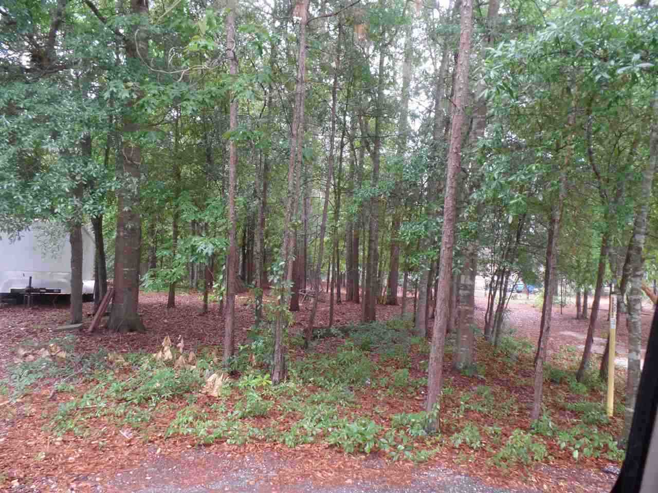 Palmetto Dr, Hartsville, SC 29550