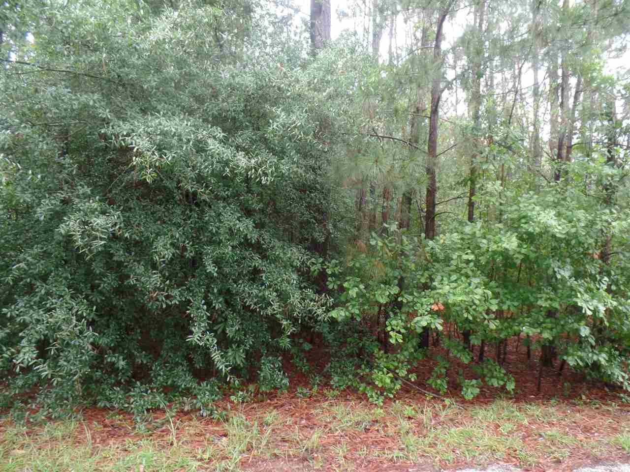 Palmetto Dr, Hartsville, SC 29550