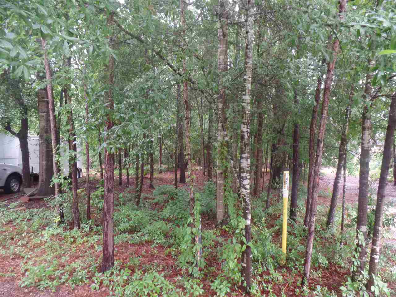 Cypress Ct, Hartsville, SC 29550