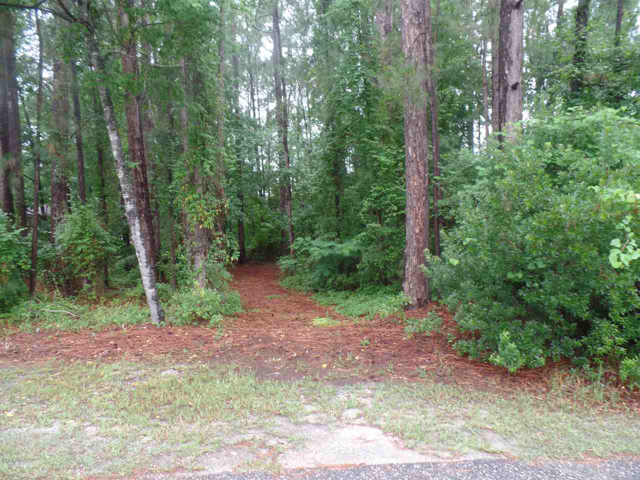 Wood Ct, Hartsville, SC 29550