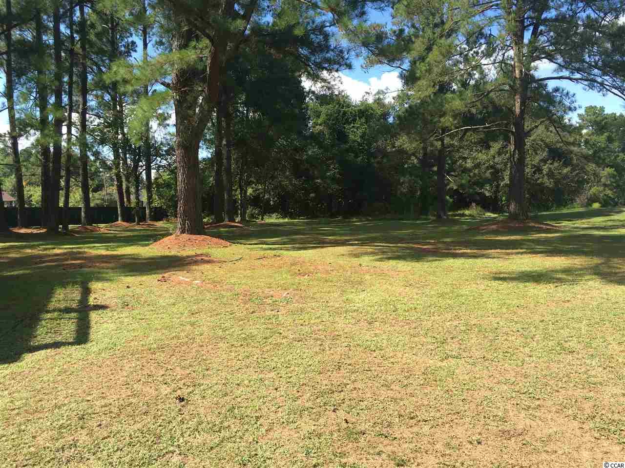 486Greenview Drive, Johnsonville, SC 29555