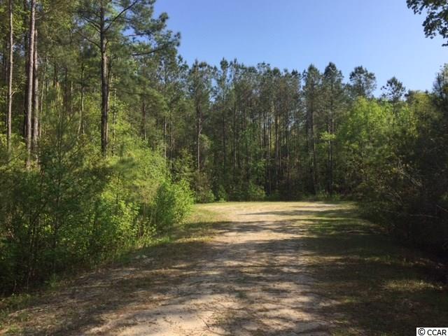 TBDCountry View Court, Little River, SC 29566