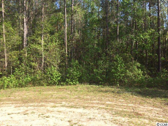 TBDCountry View Court, Little River, SC 29566