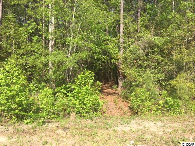 TBDCountry View Court, Little River, SC 29566