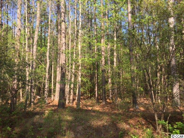 TBDCountry View Court, Little River, SC 29566