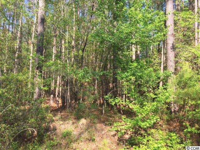 TBDCountry View Court, Little River, SC 29566