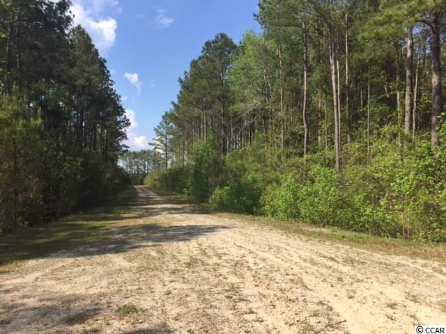 TBDCountry View Court, Little River, SC 29566