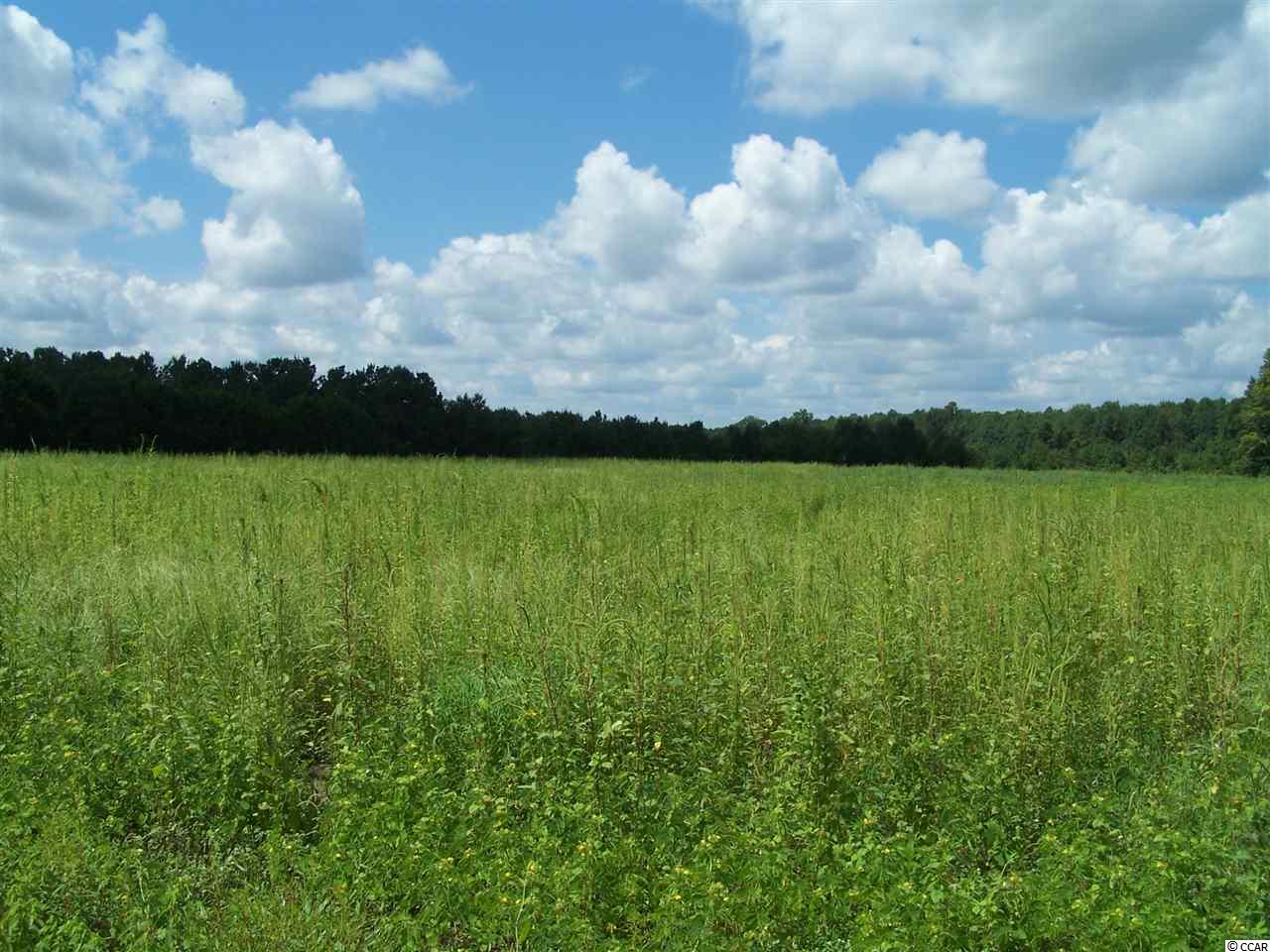TBDHIGHWAY 348, Loris, SC 29569