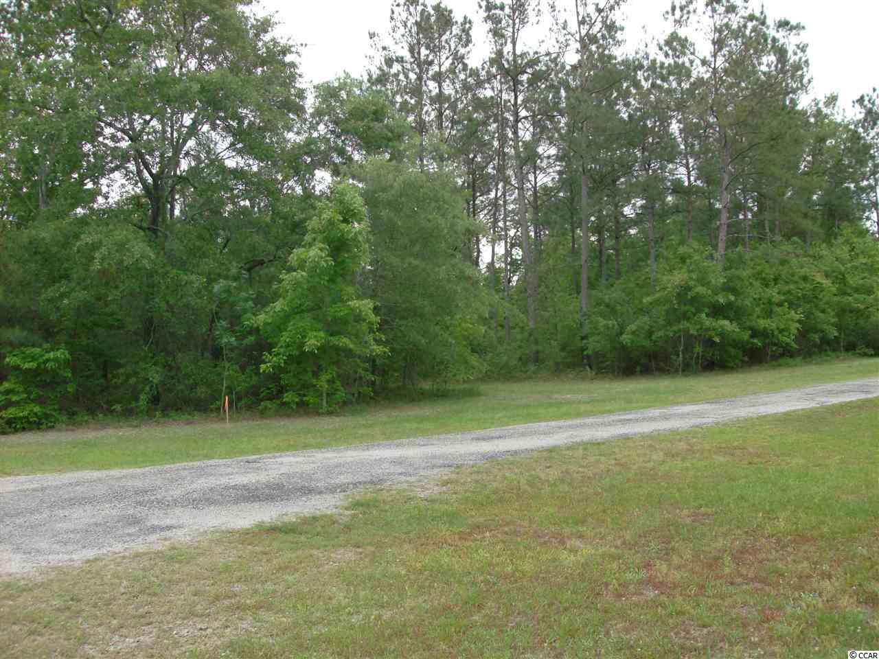 871McNabb Shortcut Road, Loris, SC 29569
