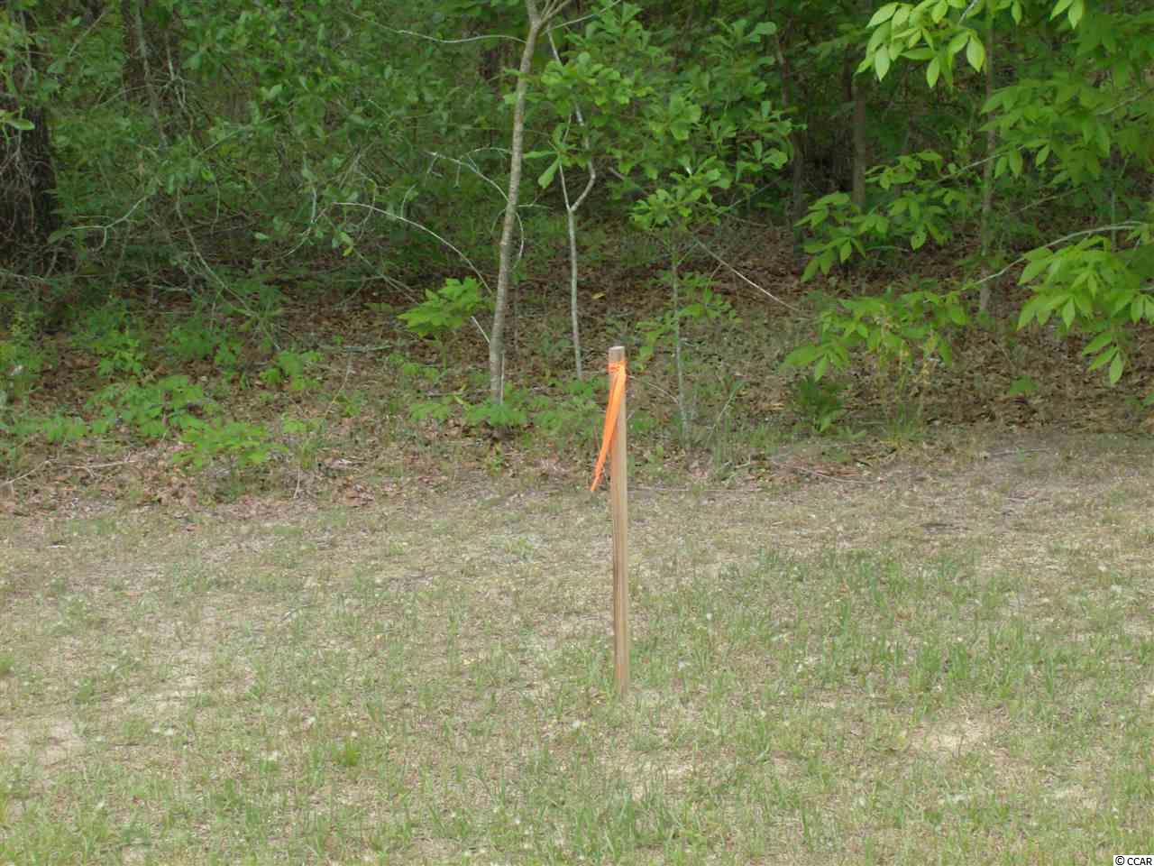871McNabb Shortcut Road, Loris, SC 29569
