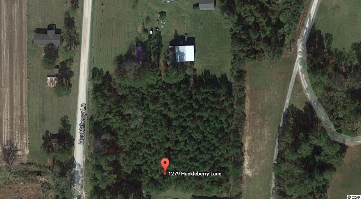 Lot 1 and 2Huckleberry Lane, Loris, SC 29569