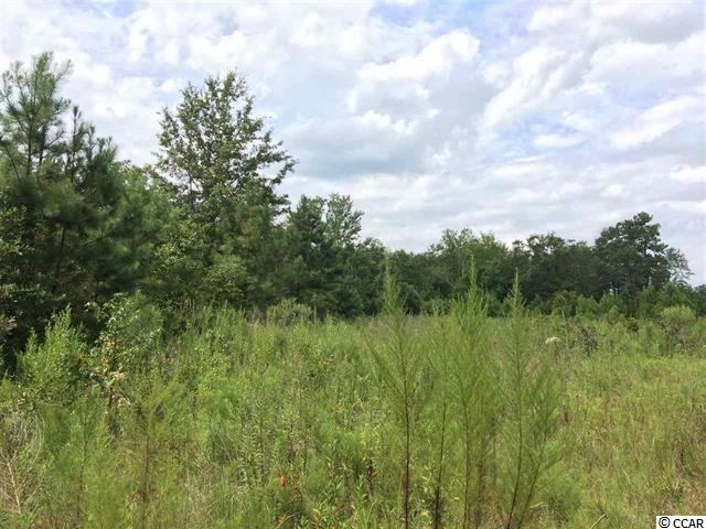 1500 Southern Crest Dr., Loris, SC 29569