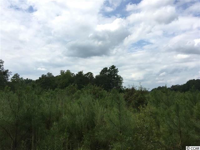 1500 Southern Crest Dr., Loris, SC 29569
