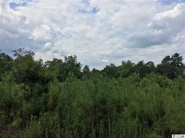 1500 Southern Crest Dr., Loris, SC 29569