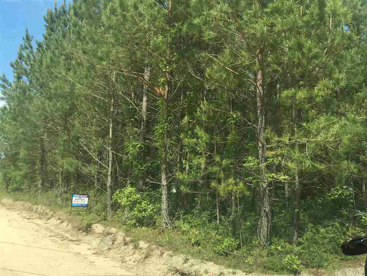 TBD George Rd, Marion, SC 29571