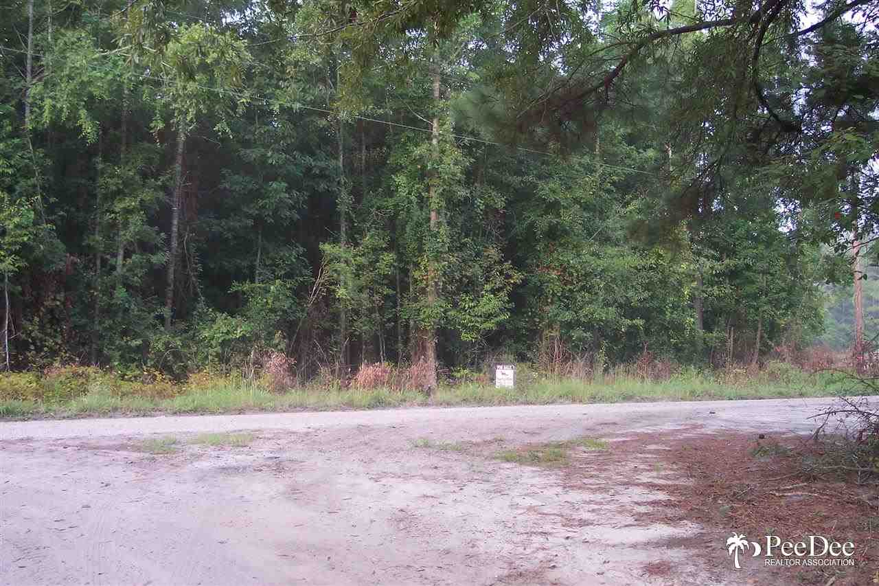 TBD Derrick Ct., Marion, SC 29571