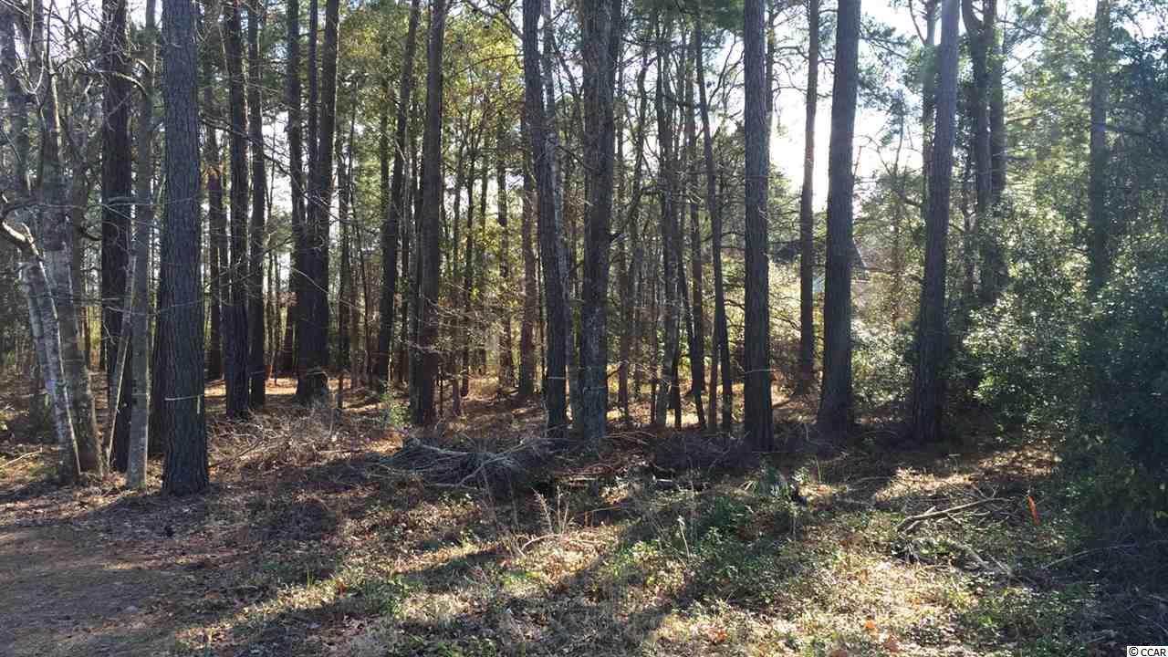 1297Regent Terrace South, Myrtle Beach, SC 29575