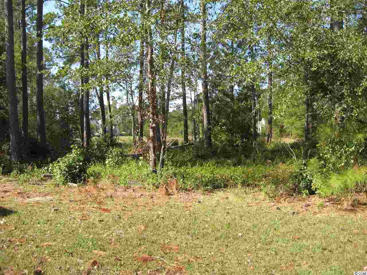 6Caleb Court, Murrells Inlet, SC 29576