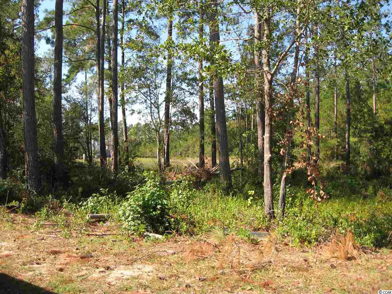 6Caleb Court, Murrells Inlet, SC 29576