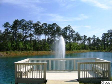 217Low Country Loop, Murrells Inlet, SC 29576