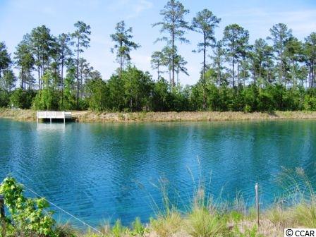 217Low Country Loop, Murrells Inlet, SC 29576