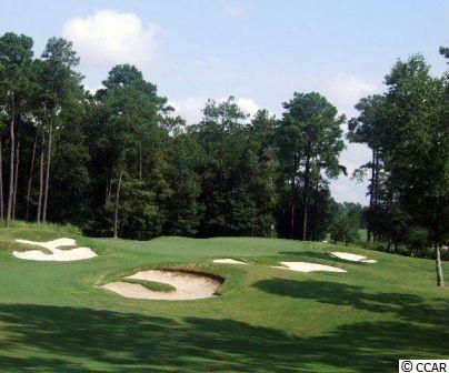 217Low Country Loop, Murrells Inlet, SC 29576