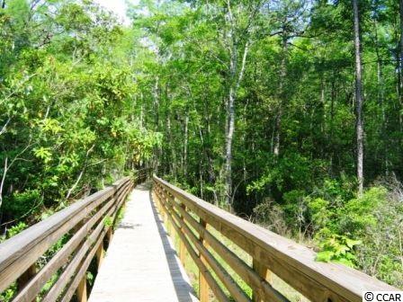 217Low Country Loop, Murrells Inlet, SC 29576