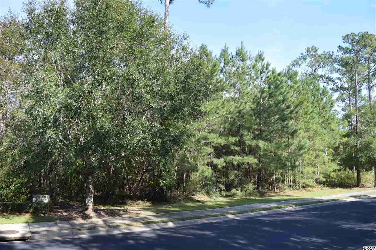 22Highwood Circle, Murrells Inlet, SC 29576